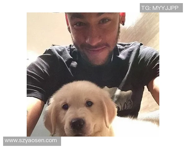 韩国狗狗足球明星的名字与他们的精彩故事分享